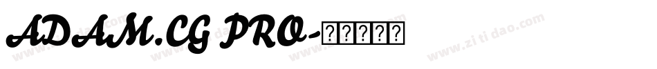 ADAM.CG PRO字体转换